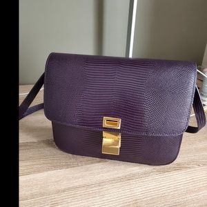 Friend's Celine Lizard Box rare color